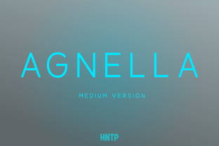 Agnella Medium: The Steady Sans Serif for Campaign Clarity