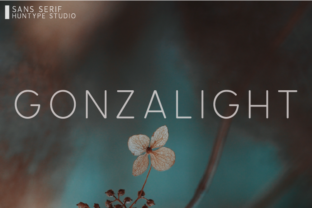 Gonzalight: The Clean Typeface That Elevates Small Brands
