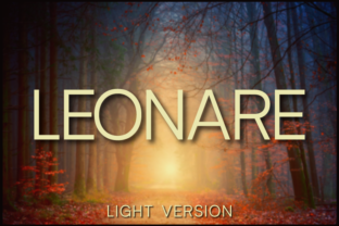 Leonare Light: A Designer's Review for Modern Branding