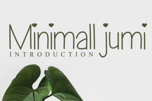 Minimall Jumi: A Clean Sans Serif Typeface for Modern Web Design